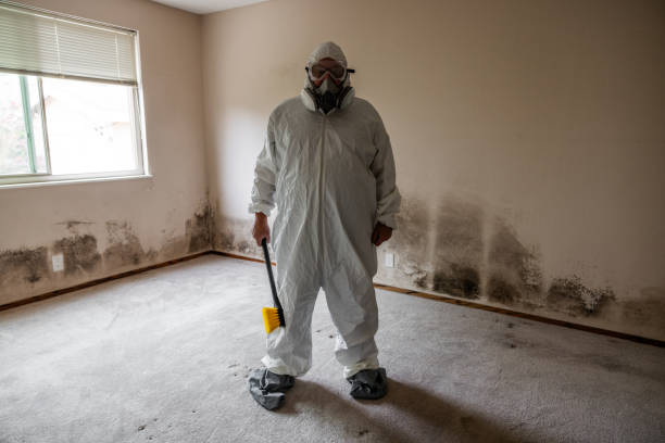 Mold Remediation for Vacation Homes in Chatham, VA